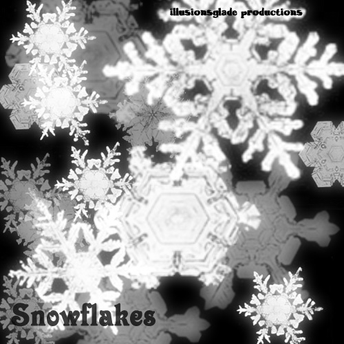 Snow Flakes 5 - Photoshop Brush